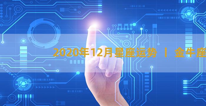 2020年12月星座运势 丨 金牛座